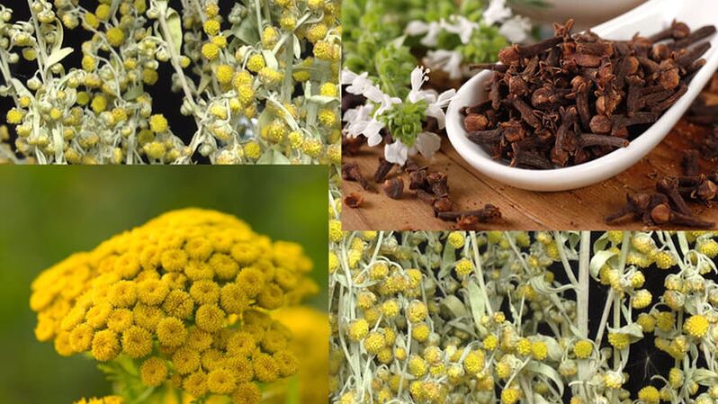 Народныя сродкі для паразітаў
